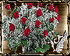 A Bouquet Of Red Roses