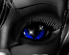 blue cat's eyes F