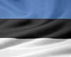 Estonian flag on wall