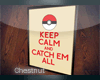 [o] Calm Poke Poster