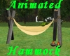 (S)Animated Hammock