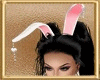 ✘ Love Bunny Ears