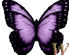 Butterfly Deco