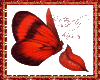 redkiss Butterfly