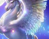 Pegasus unicorn