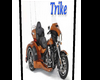 Cadre Trike Harley
