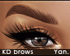 Y: KD brows | natural