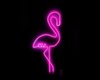 neon flamingo