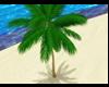 LB59s Animated Palm Tree