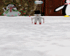 ~H~Snowman Ski