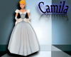 : Cinderella Costume 