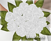 H. White Bouquet