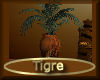 [my]Tigre Palm in Vase