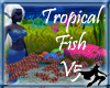 Tropical Fish V5