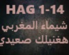 Shaimaa Elmaghraby-Hagan