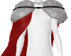 Animated Santa cape