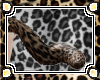 .J.O. Leo Tail