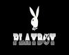 Playboy Bunny 1