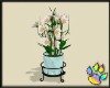 *J* Daisy Flower Pot
