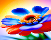 Flowers 9 - Port