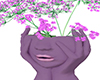 Goddess Pink potplant