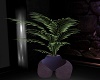 Darkness Plant 1