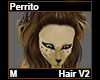 Perrito Hair M V2