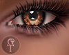 HLS|Allure| 11
