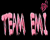 Team Emi Shirt Female