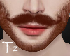 Tz┇Ginger Mustache"