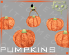 Pumpkins 3a Ⓚ