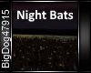 [BD]Night Bats