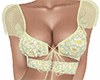 SPRING BUNDLE