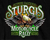 Sturgis 2024 Billboard