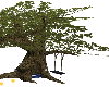 (V) Jareth's tree
