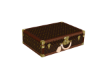 Luggage L