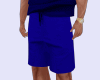 A.E! Blue Shorts