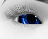 eyes dark blue eyes dark blue