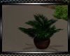 **Country Potted Plant