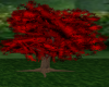Secret Serenity Red Tree