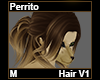 Perrito Hair M V1