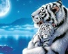 WHITE TIGER COUCH