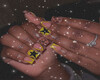 T| Im the STAR