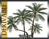 3N:DER: Palms