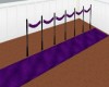 Purple Runner w/Rope