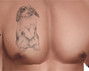 Tatto + Conejo + Pecho