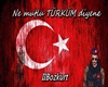 Türk Bayrak Bozkurt