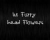 1st Attempt Head Flowers