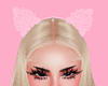 Lace Cat Ears Pink-