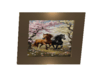 Horse Frame 1